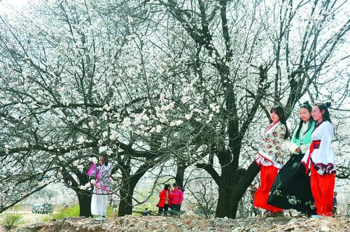 310v大赢家足球数据可视化看板